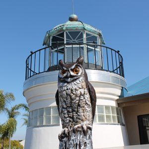 Point Loma Seafoods Restaurant View